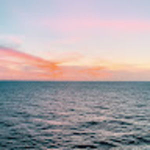 Meet your Posher, Allie